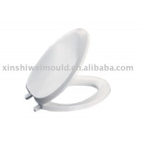 Plastic Injection Toilet Seat and Cover Mould